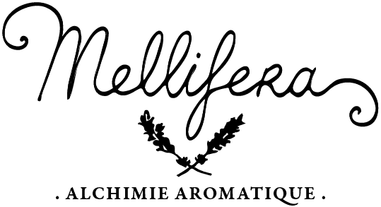 Mellifera